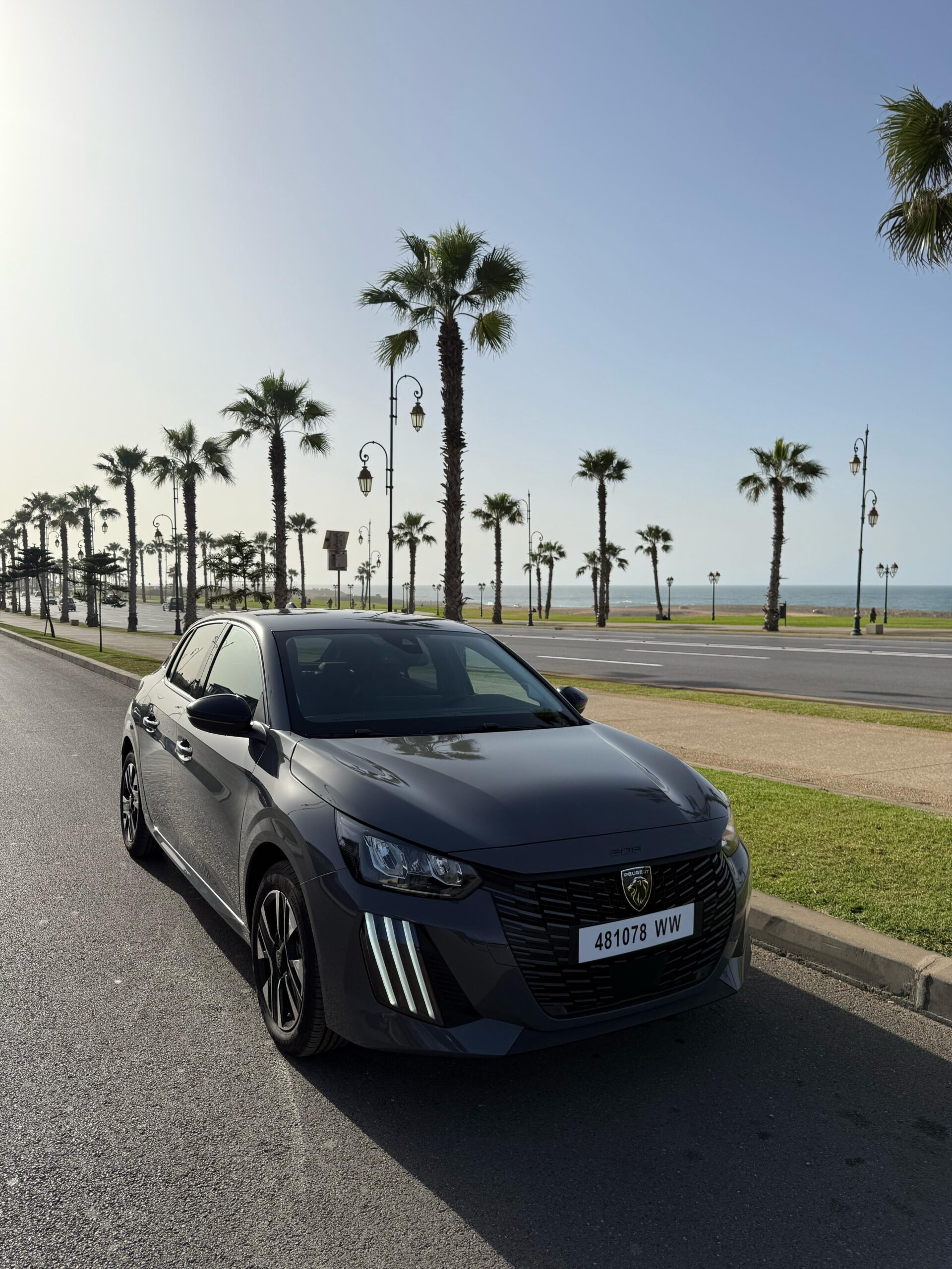 
								Peugeot 208 hybride full									