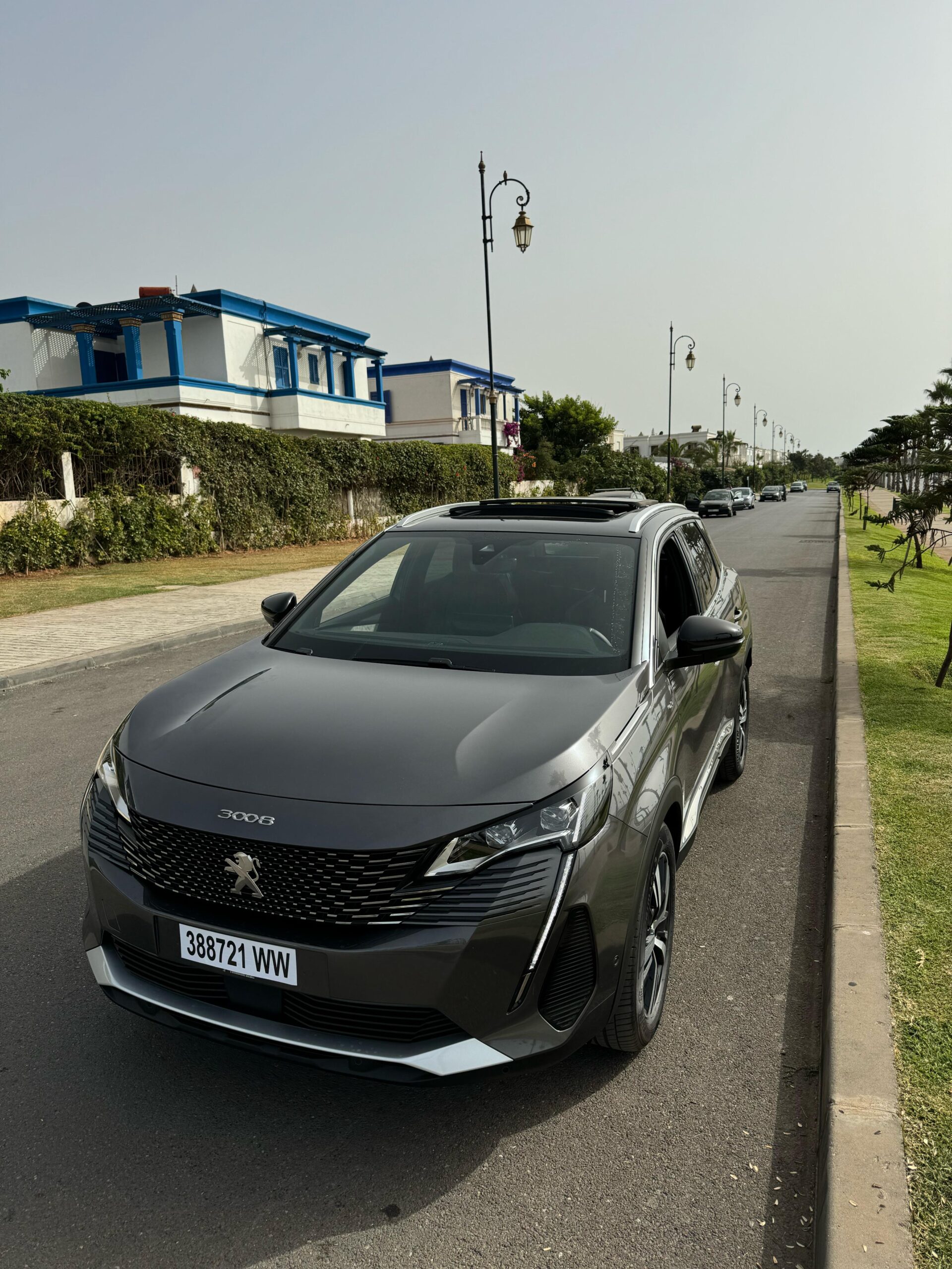 
								Peugeot 3008 GT full									